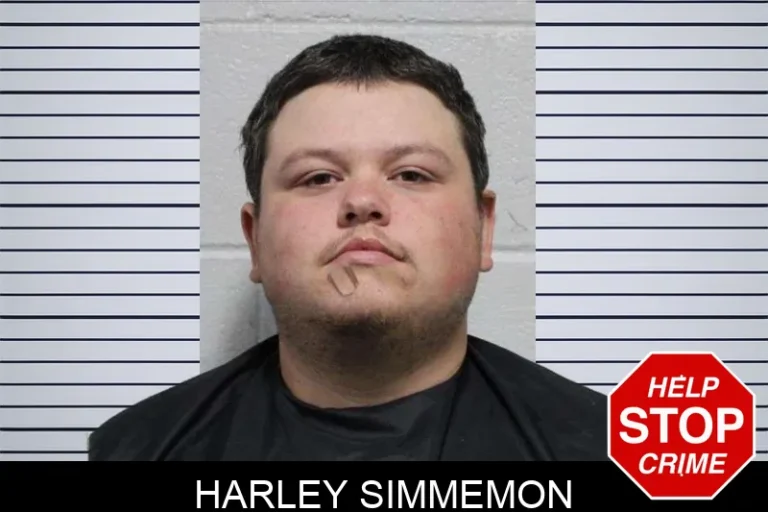 Harley Simmemon mugshot – Habersham County , Georgia Harley Simmemon
