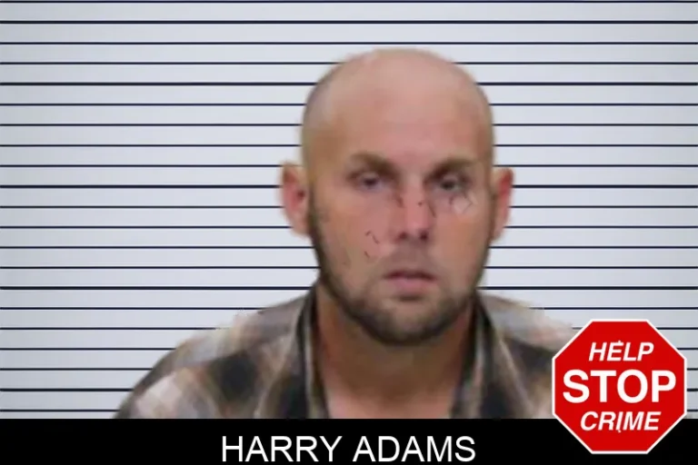 Harry Adams