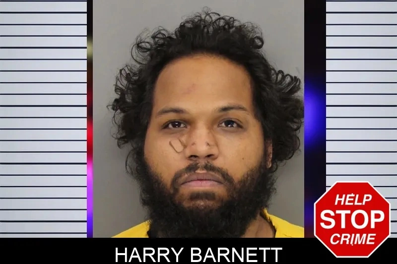 Harry Barnett Mugshots