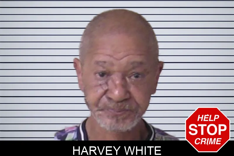 Harvey White Mugshots