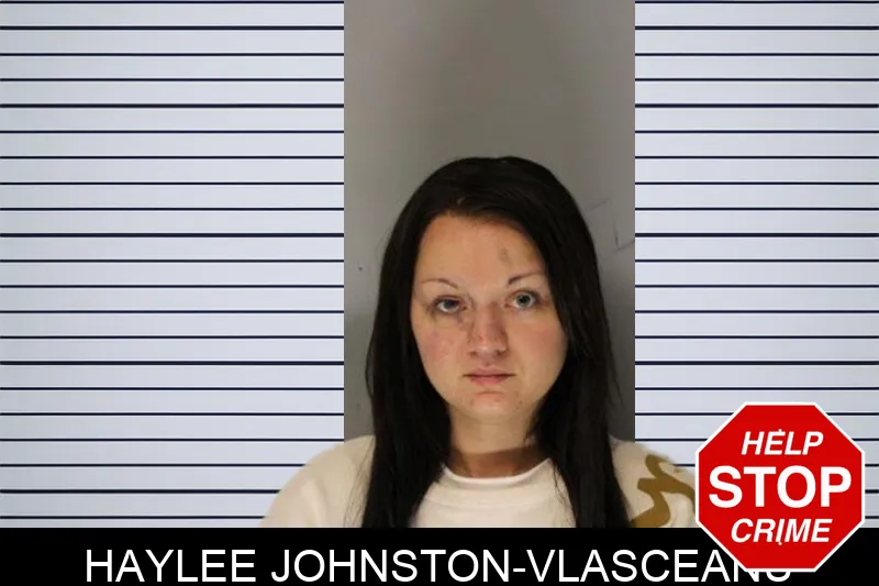 Haylee Johnston-Vlasceanu mugshot – Hall County , Georgia Haylee Johnston-Vlasceanu mugshot