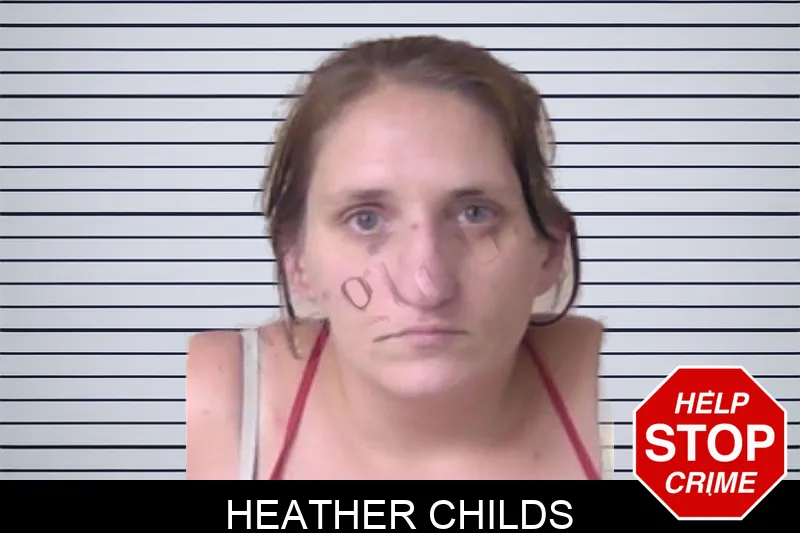 Heather Childs Mugshots