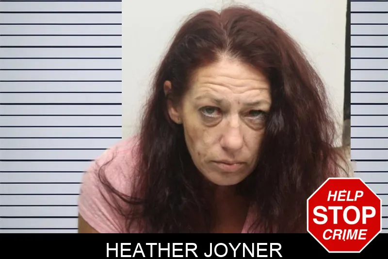 Heather Joyner mugshot