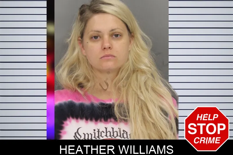 Heather Williams mugshot – Cobb County , Georgia Heather Williams mugshot
