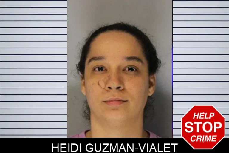 Heidi Guzman-Vialet mugshot β Hall County , Georgia Heidi Guzman-Vialet