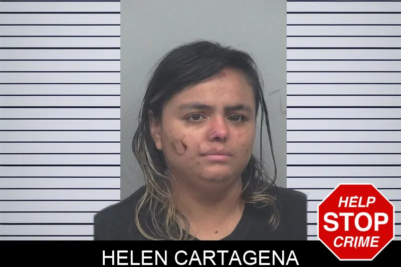 Helen Cartagena mugshot