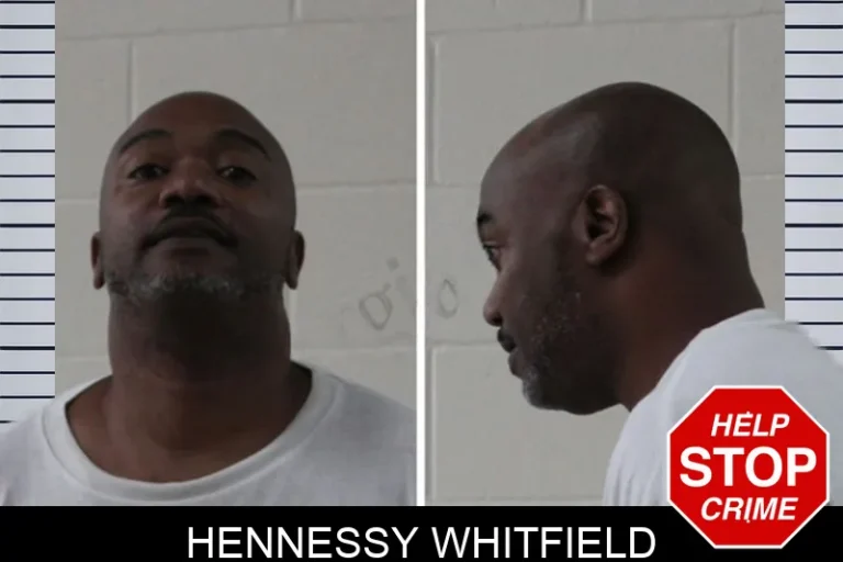 Hennessy Whitfield mugshot – Houston County , Georgia Hennessy Whitfield
