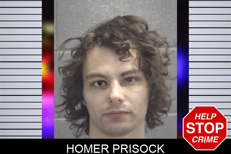Homer Prisock Mugshots