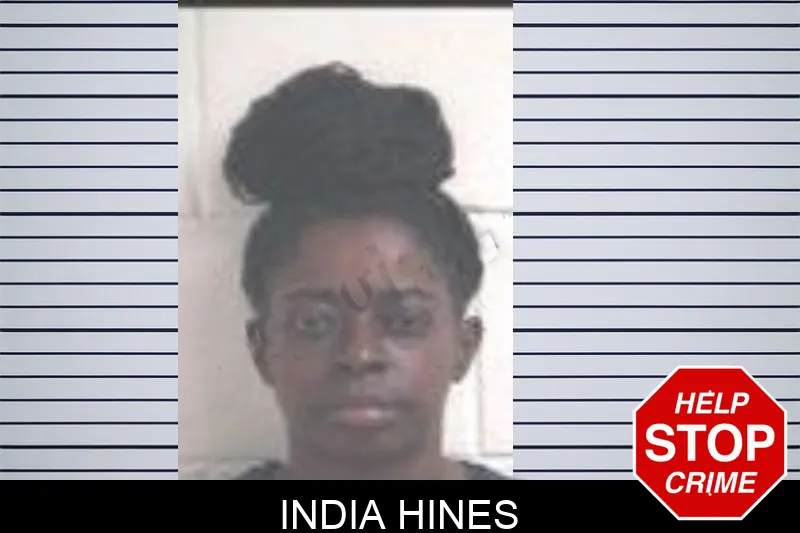 India Hines mugshot – Henry County , Georgia India Hines mugshot