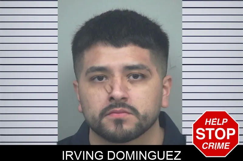 Irving Dominguez mugshot