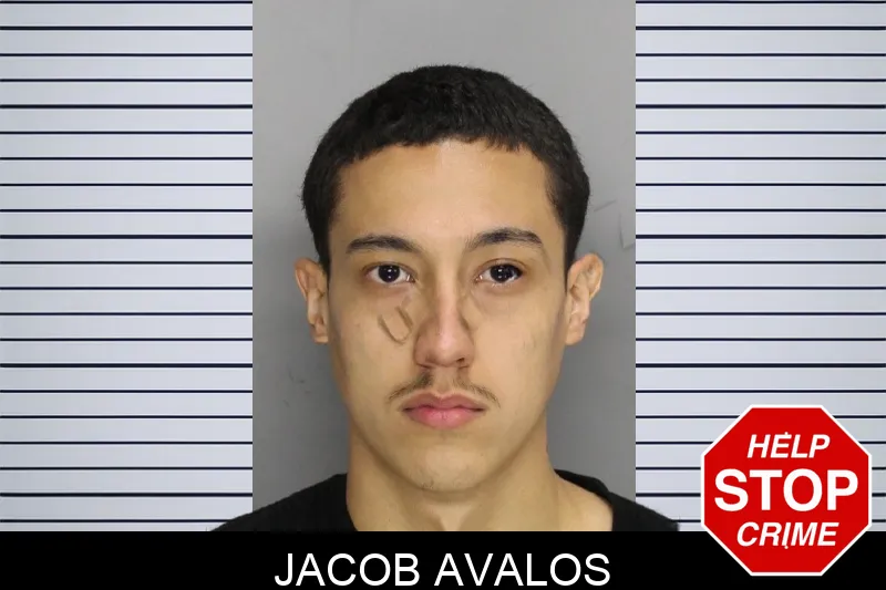 Jacob Avalos mugshot