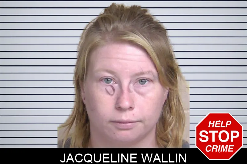 Jacqueline Wallin Mugshots