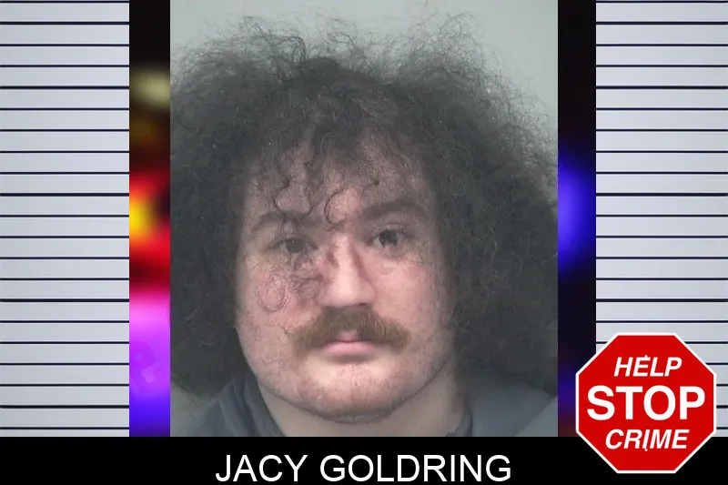 Jacy Goldring mugshot