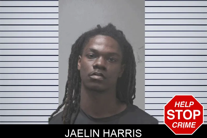 Jaelin Harris mugshot
