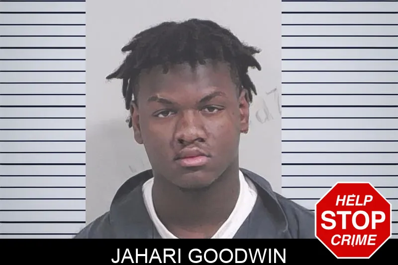 Jahari Goodwin mugshot – Lowndes County , Georgia Jahari Goodwin mugshot