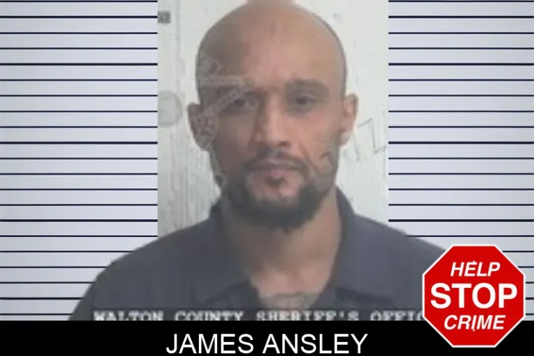 James Ansley