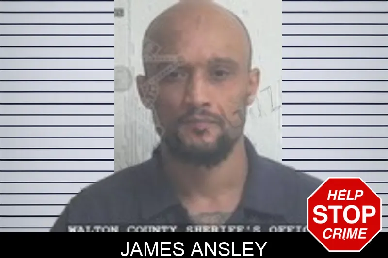 James Ansley