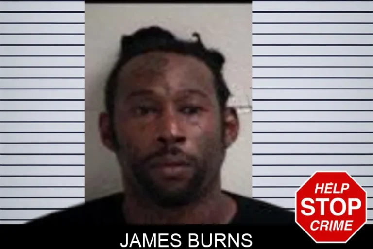 James Burns mugshot – Henry County , Georgia James Burns