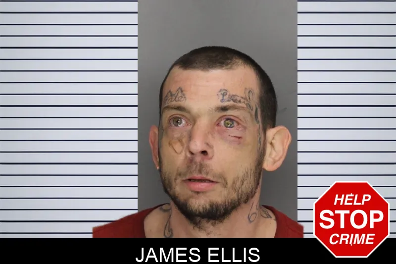 James Ellis mugshot