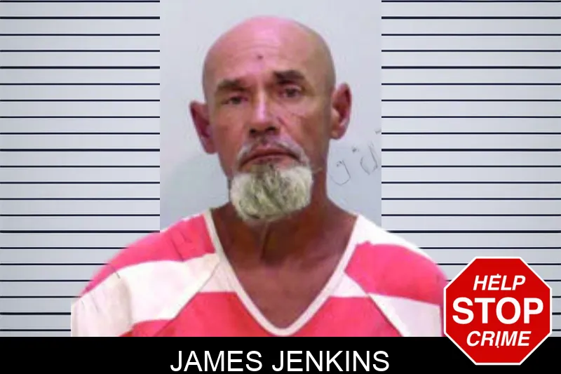 James Jenkins mugshot – Bartow County , Georgia James Jenkins mugshot