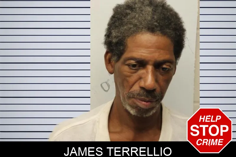 James Terrellio mugshot – Chatham County , Georgia James Terrellio mugshot