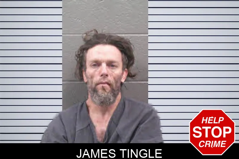 James Tingle