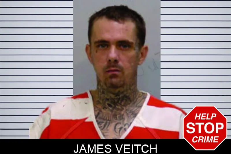 James Veitch mugshot – Bartow County , Georgia James Veitch mugshot