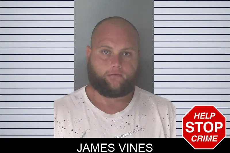 James Vines mugshot