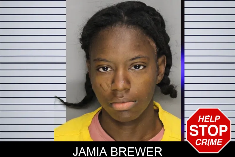 Jamia Brewer Mugshots
