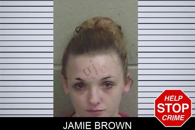 Jamie Brown mugshot – Wayne County , Georgia Jamie Brown