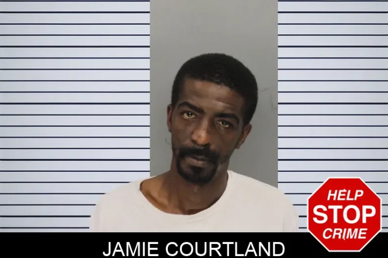 Jamie Courtland
