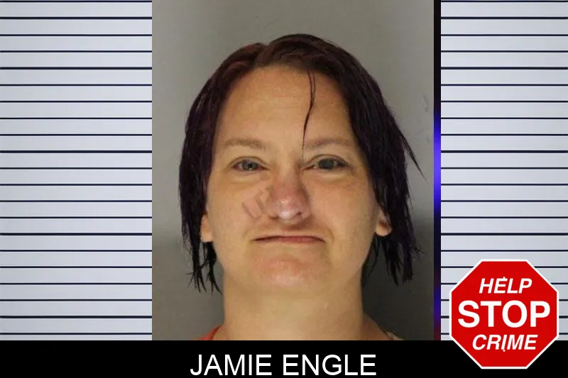 Jamie Engle mugshot – Hall County , Georgia Jamie Engle mugshot