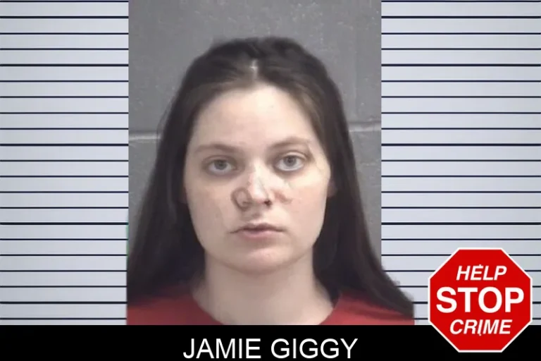 Jamie Giggy mugshot – Spalding County , Georgia Jamie Giggy