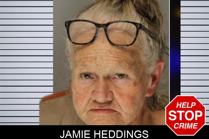 Jamie Heddings mugshot