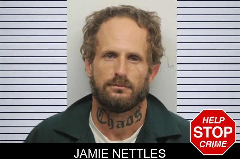 Jamie Nettles Mugshots