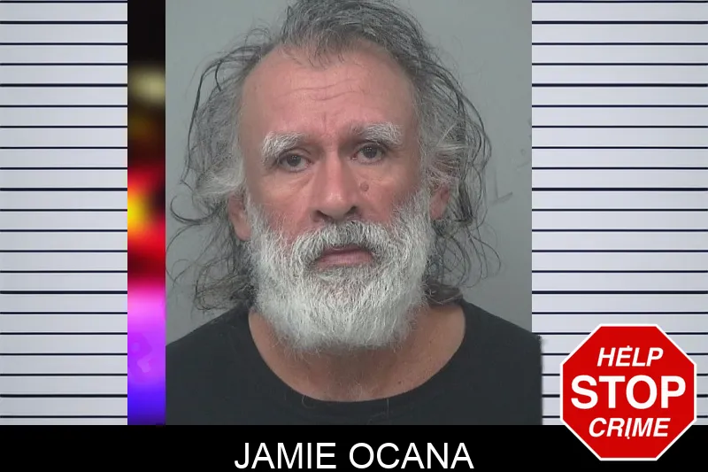 Jamie Ocana mugshot – Gwinnett County , Georgia Jamie Ocana mugshot