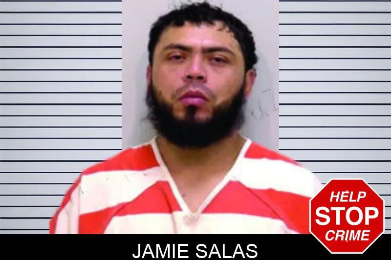Jamie Salas mugshot