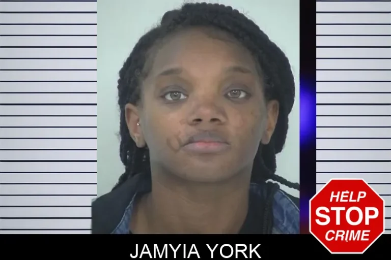 Jamyia York mugshot – Fayette County , Georgia Jamyia York