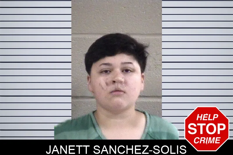 Janett Sanchez-Solis Mugshots