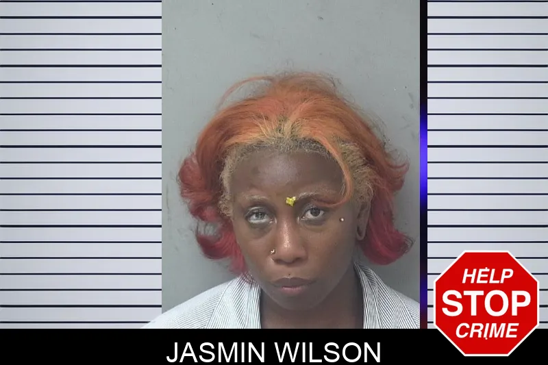 Jasmin Wilson Mugshots