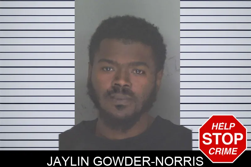 Jaylin Gowder-Norris mugshot – Douglas County , Georgia Jaylin Gowder-Norris mugshot