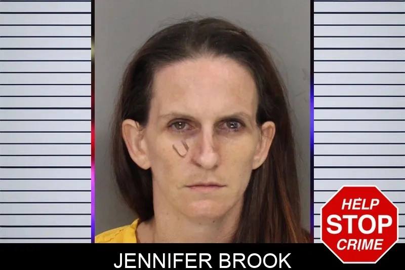 Jennifer Brook mugshot – Cobb County , Georgia Jennifer Brook mugshot