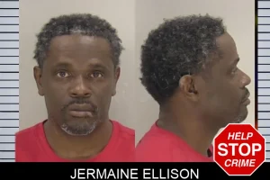 Jermaine Ellison mugshot