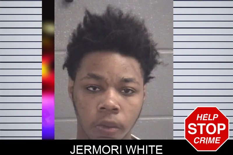Jermori White Mugshots