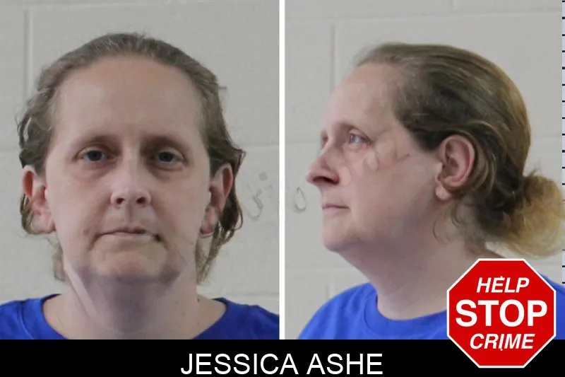 Jessica Ashe mugshot