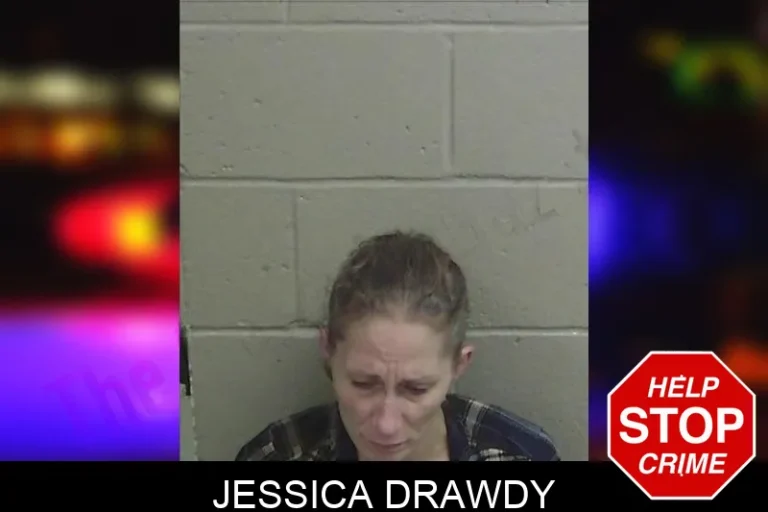 Jessica Drawdy mugshot – Wayne County , Georgia Jessica Drawdy