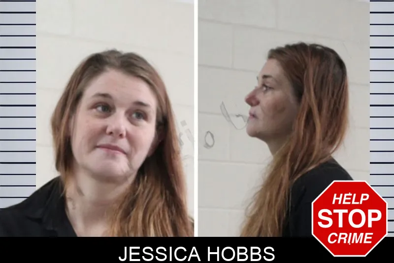 Jessica Hobbs mugshot – Houston County , Georgia Jessica Hobbs mugshot