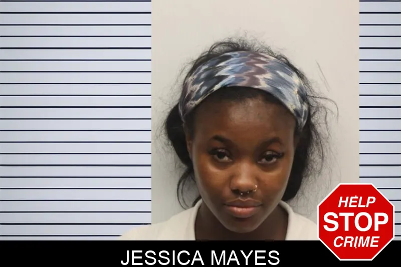 Jessica Mayes mugshot