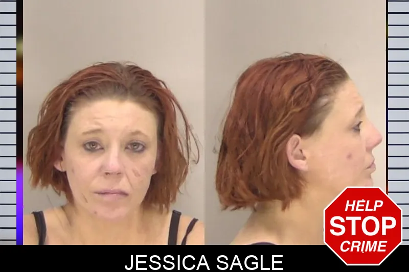 Jessica Sagle Mugshots