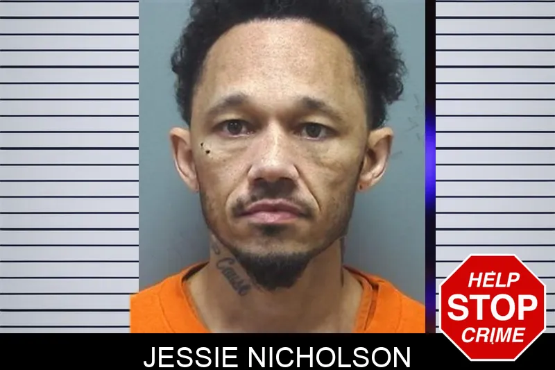 Jessie Nicholson mugshot